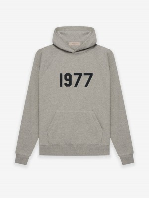 Sweat a Capuche Essentials 1977 Noir | 74JWRZTGY