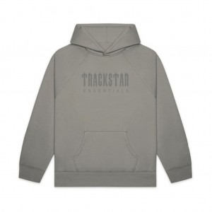 Sweat a Capuche Essentials Trackstar Premium Gray | 16IELZMUF